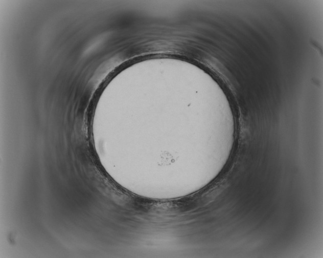 X0000103900883200809191236