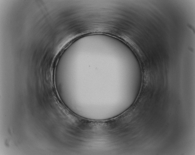 X0000103900886200809191236
