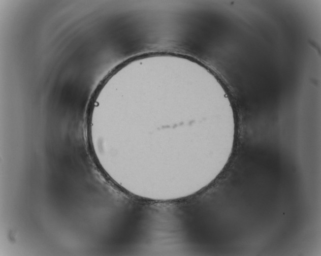 X0000103900888200809191236