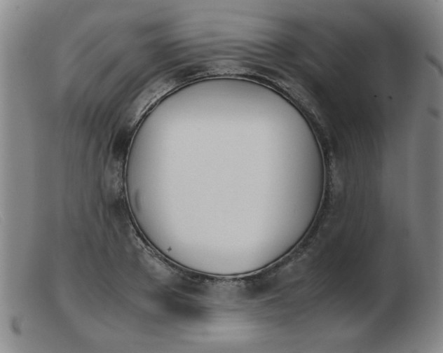X0000103900889200809191236