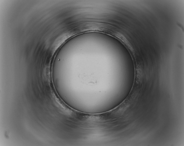 X0000103900890200809191236