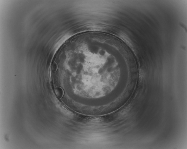 X0000103900891200809191236
