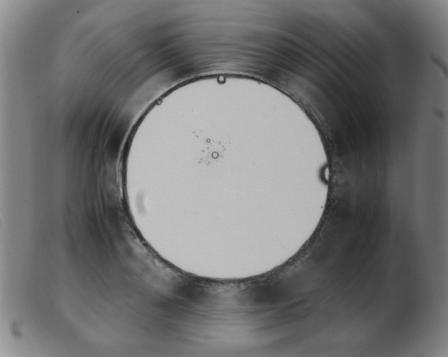 X0000103900892200809191235
