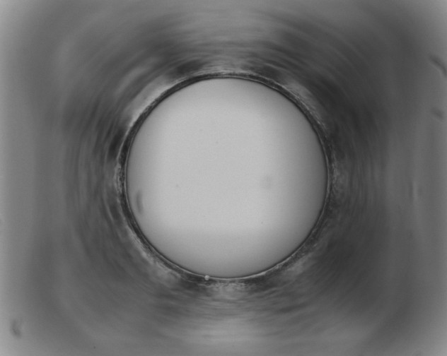 X0000103900893200809191235