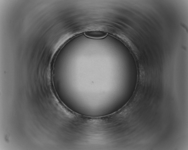 X0000103900894200809191235