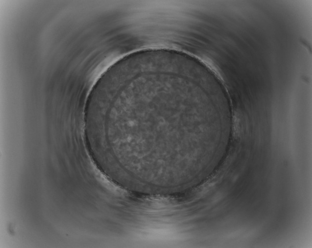 X0000103900895200809191235