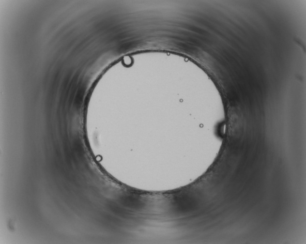 X0000103900896200809191235