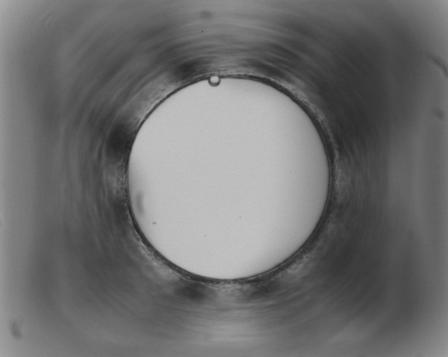 X0000103900897200809191235
