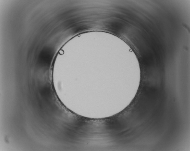 X0000103900900200809191235