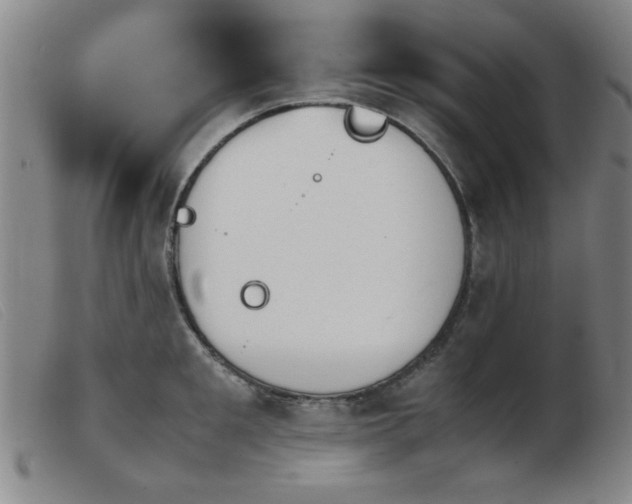 X0000103900901200809191235