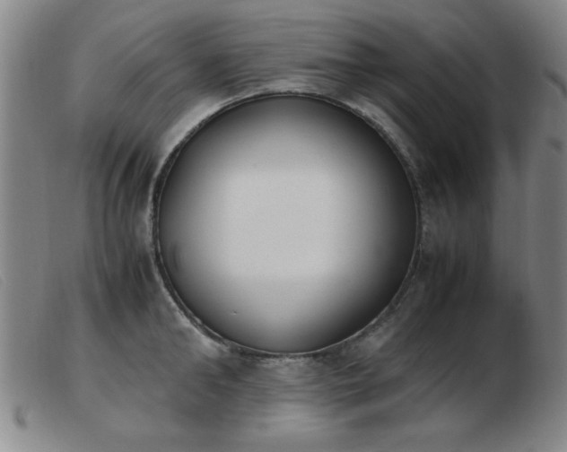 X0000103900902200809191235