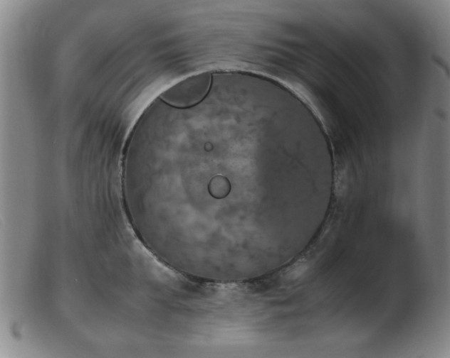 X0000103900903200809191235
