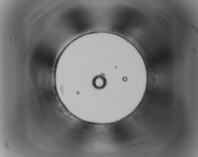 X0000103900904200809191235