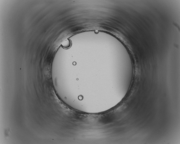 X0000103900905200809191235