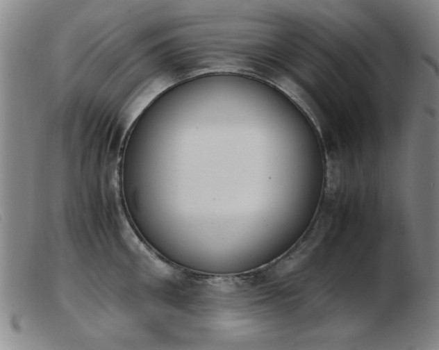 X0000103900906200809191235