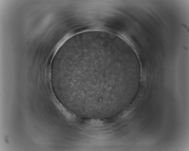 X0000103900907200809191235