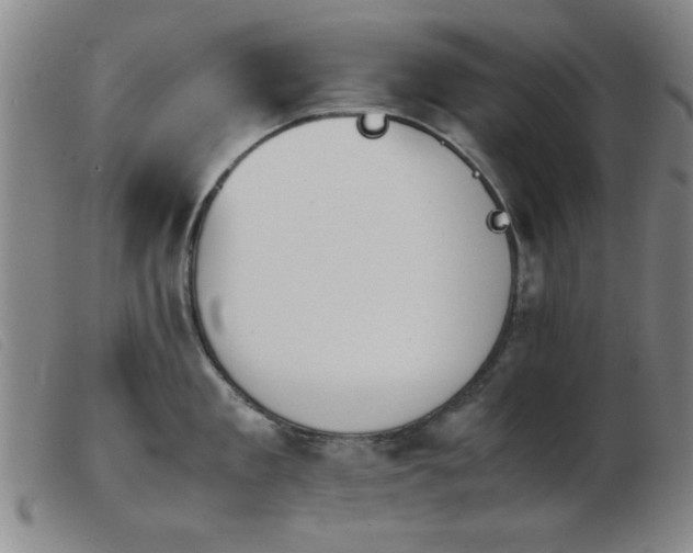 X0000103900909200809191235