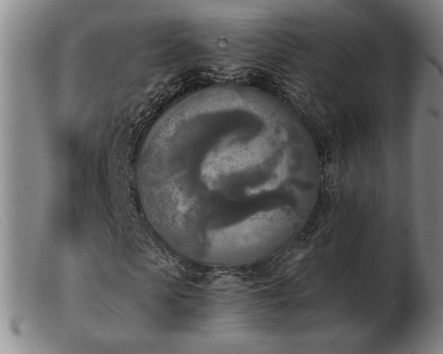 X0000103900913200809191234