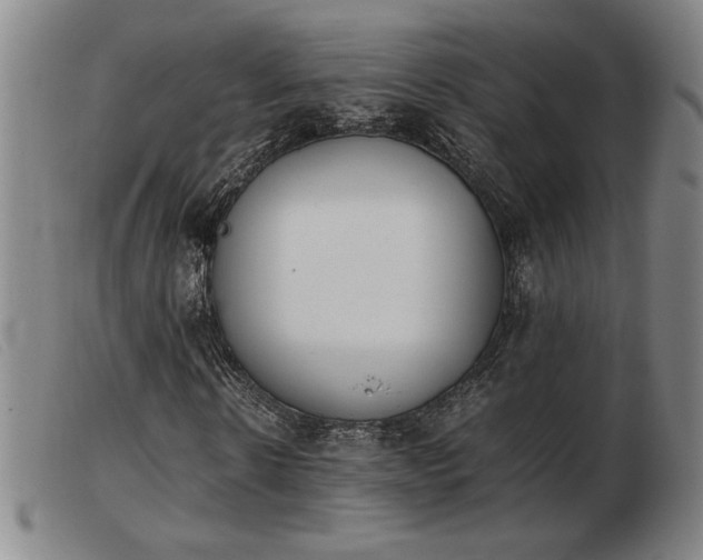 X0000103900914200809191235