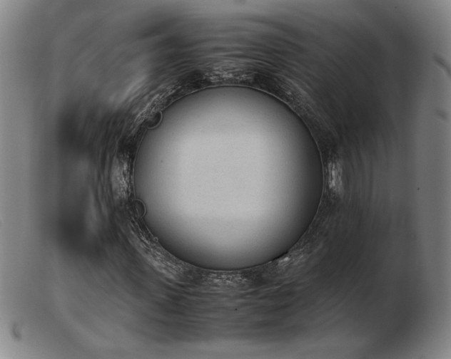 X0000103900915200809191235