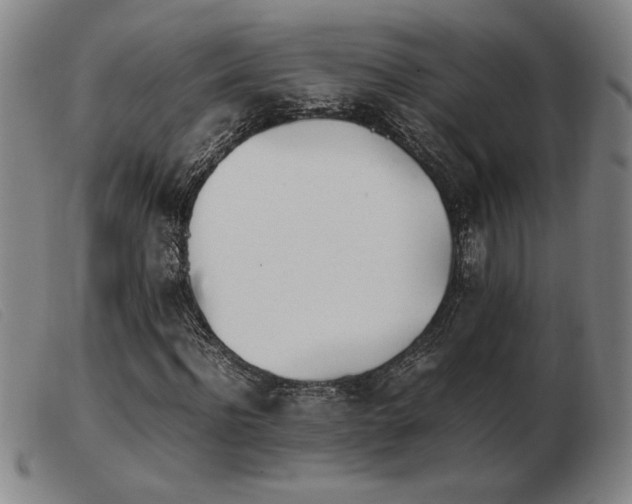 X0000103900916200809191235