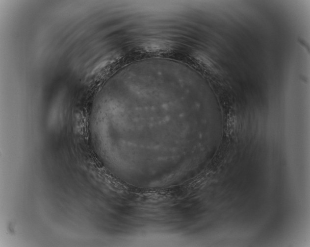 X0000103900917200809191235