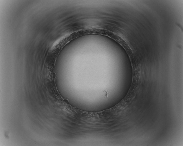 X0000103900919200809191235