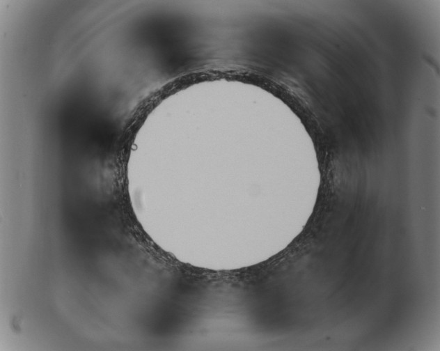 X0000103900920200809191235