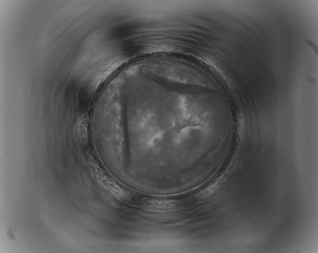 X0000103900921200809191235
