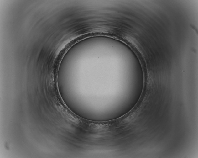 X0000103900923200809191235