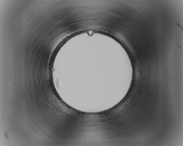 X0000103900924200809191235