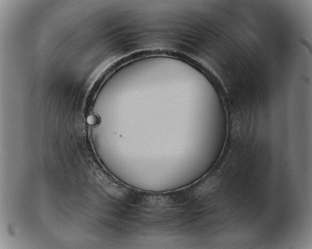 X0000103900927200809191235