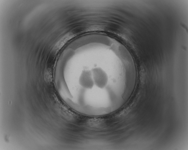 X0000103900929200809191235