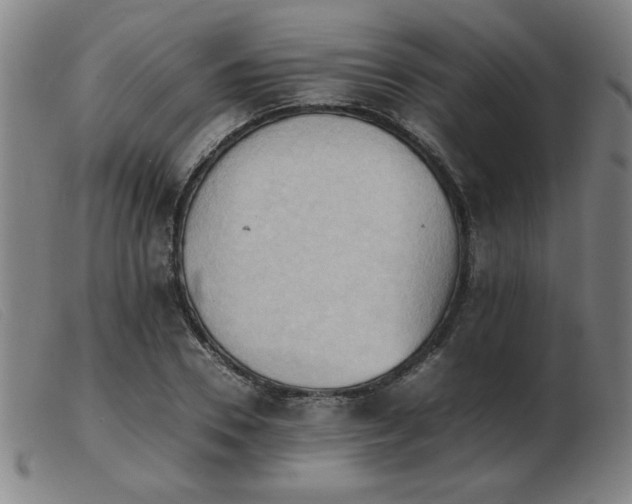 X0000103900930200809191235