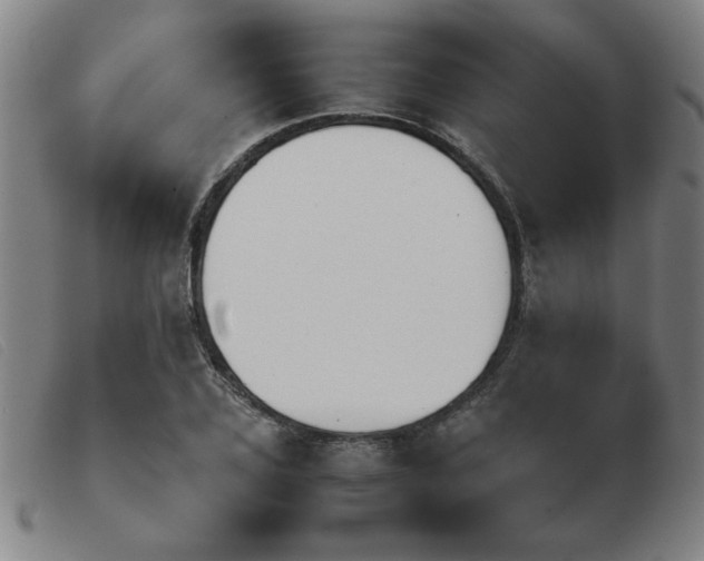 X0000103900931200809191235