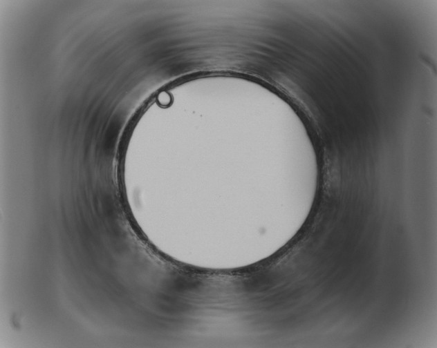 X0000103900932200809191235