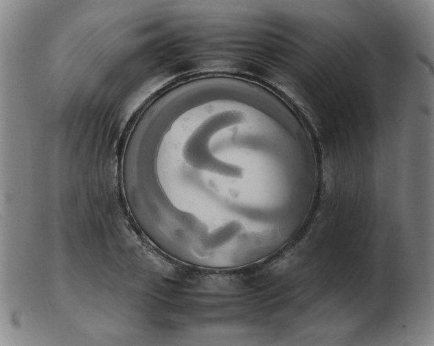 X0000103900933200809191235