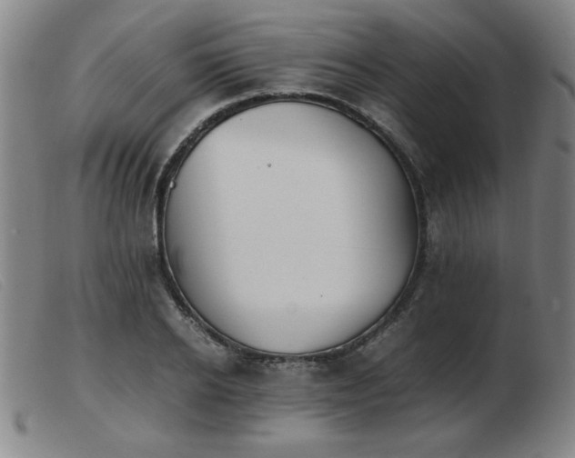X0000103900934200809191235