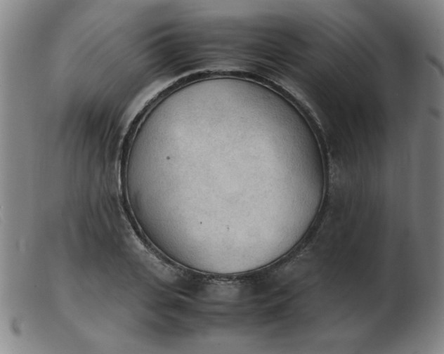 X0000103900935200809191235