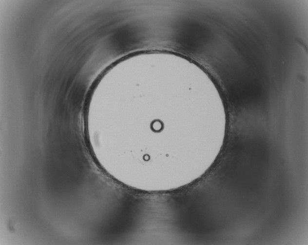 X0000103900936200809191235