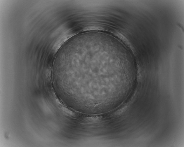 X0000103900937200809191235