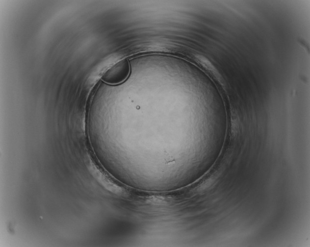 X0000103900938200809191235