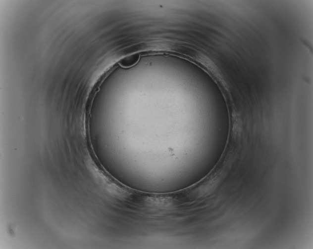 X0000103900939200809191235