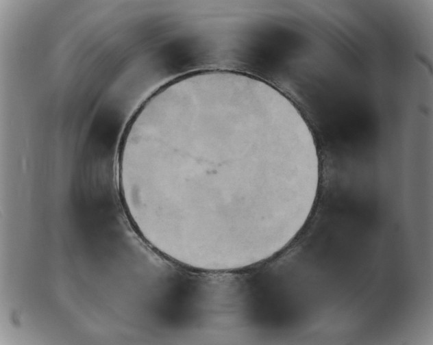 X0000103900940200809191235