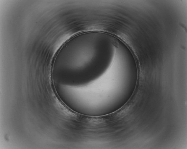 X0000103900941200809191235