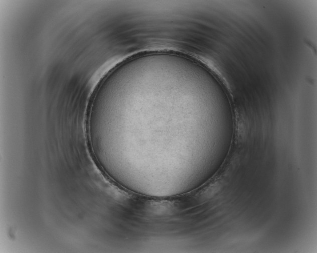 X0000103900943200809191235