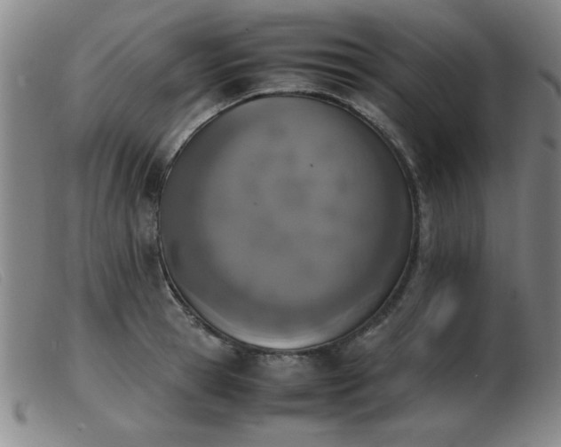 X0000103900945200809191235