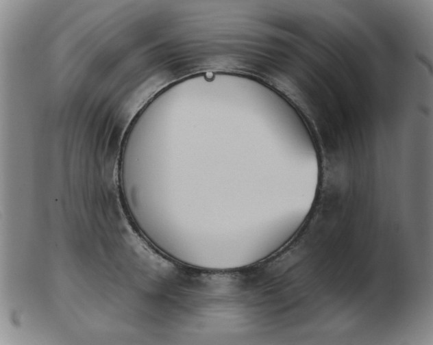 X0000103900946200809191235