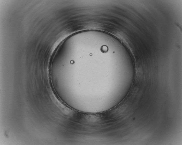 X0000103900947200809191235