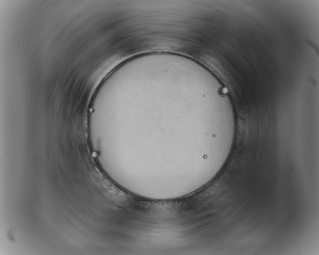 X0000103900948200809191235